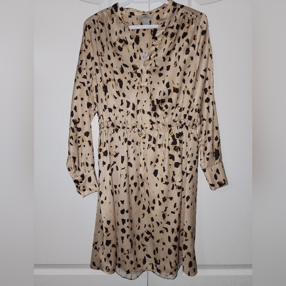 Dress from H&M